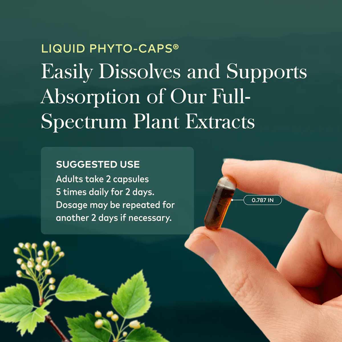 Hand holding a small amber liquid-filled capsule labeled 0.87 inches against a teal background with herb imagery and usage te