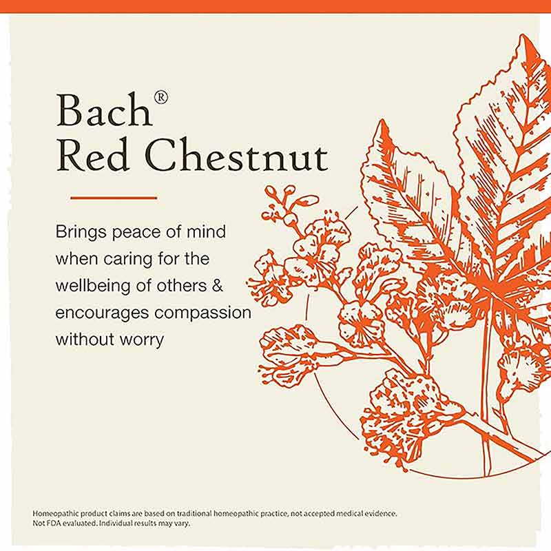 Red Chestnut Flower Essence, by Bach Flower Remedies, image #3