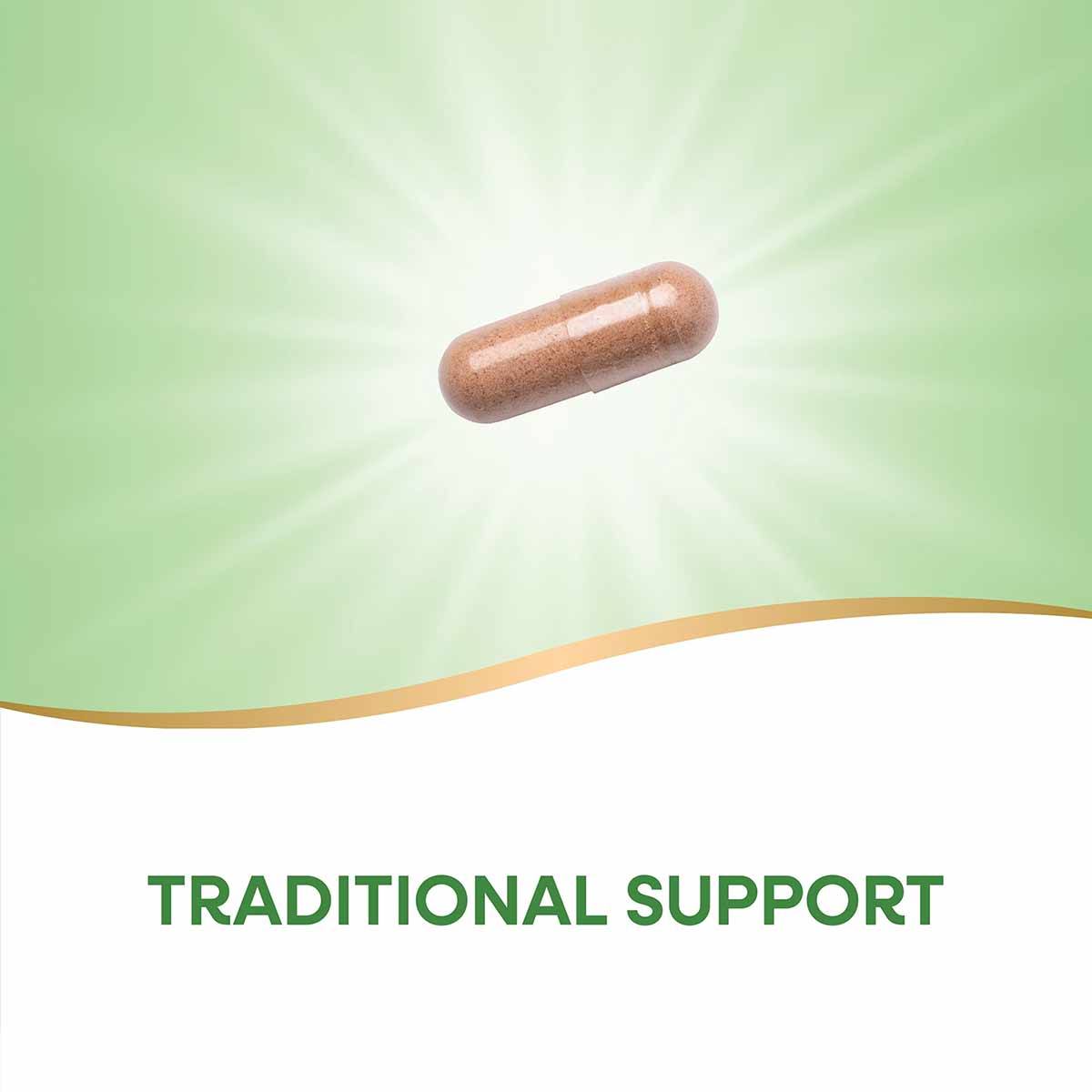 Brown capsule supplement on green gradient background with "Traditional Support" text below.