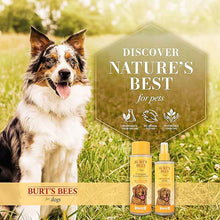 Refreshing Spray for Dogs, Milk & Honey, by Burt's Bees Pets, image #5