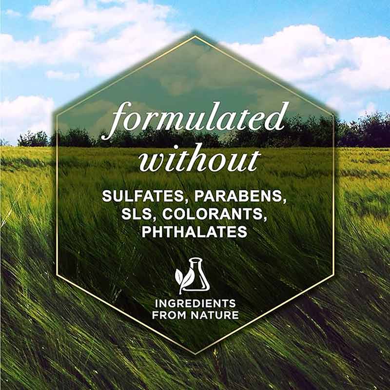 Refreshing Spray for Dogs, Milk & Honey, by Burt's Bees Pets, image #6