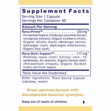 Supplement Facts label for RenaVen Kidney Support showing serving size, ingredient amounts, and botanical components per caps