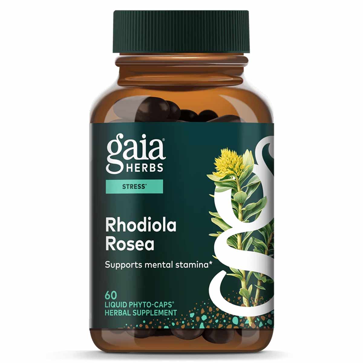 Gaia Herbs Rhodiola Rosea bottle with green cap containing 60 black liquid phyto-caps herbal supplement.