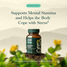 Gaia Herbs Rhodiola Rosea supplement bottle with green cap on soil, yellow flowers blurred in background.