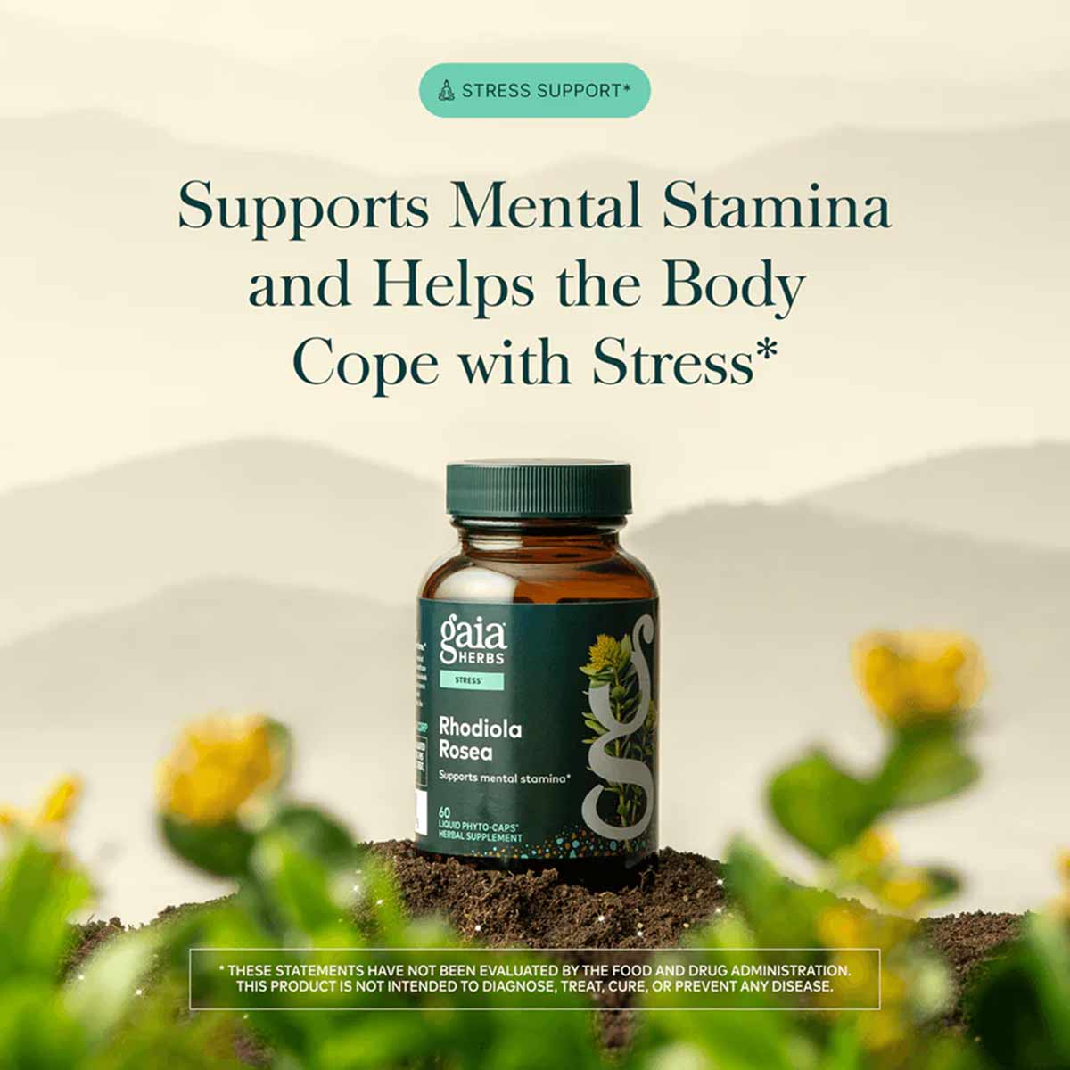 Gaia Herbs Rhodiola Rosea supplement bottle with green cap on soil, yellow flowers blurred in background.