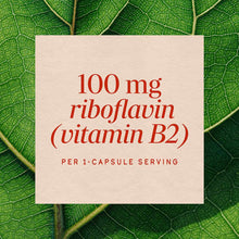 Cream-colored label displaying "100 mg riboflavin (vitamin B2) per 1-capsule serving" in red text on green leaf background.