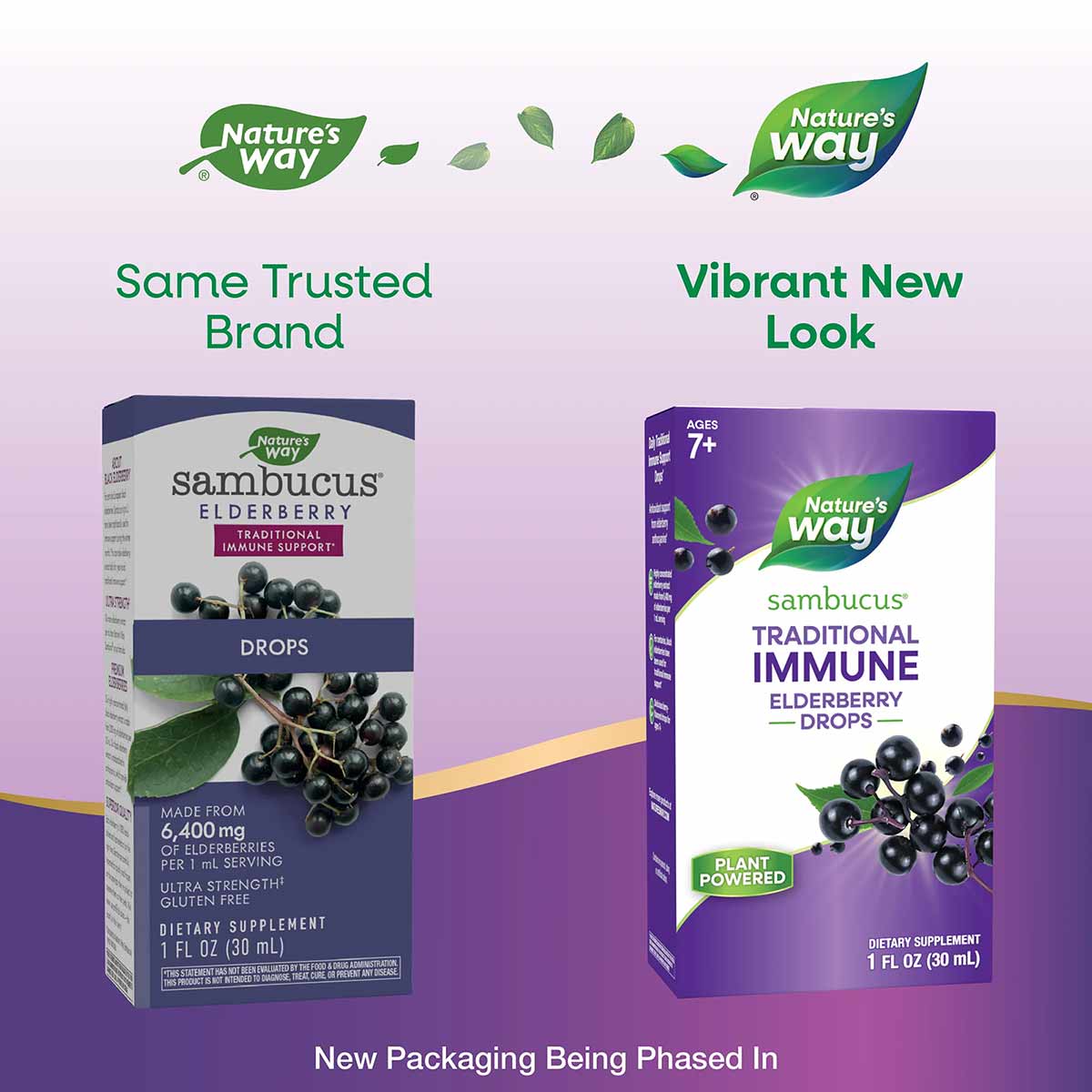 Sambucus Elderberry Drops bottles showing original and new packaging designs with dark berries and green leaves.