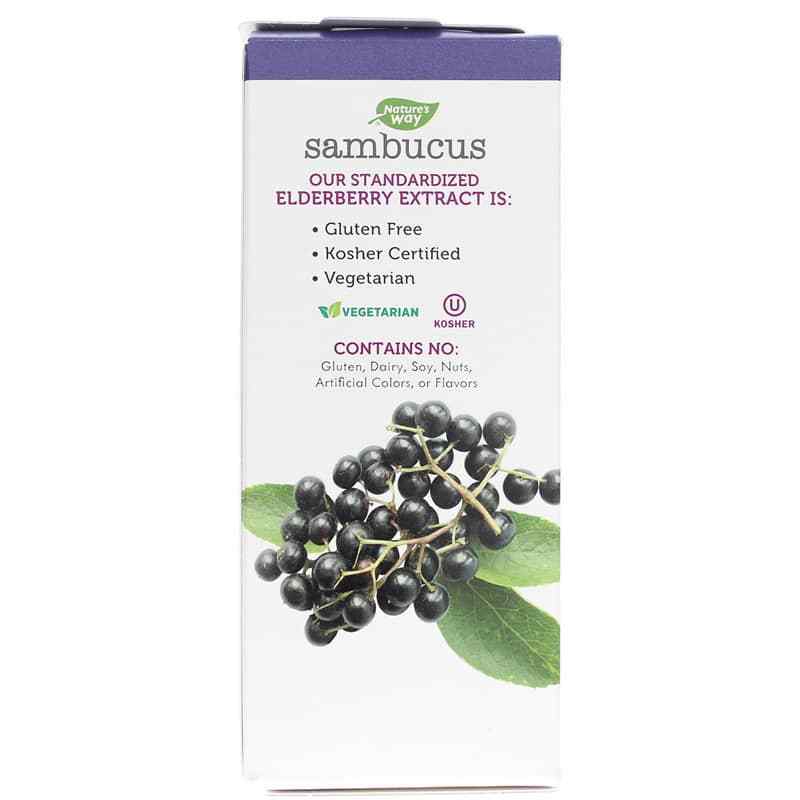 Sambucus Elderberry Immune Syrup, 4 Oz, by Natures Way, image #3