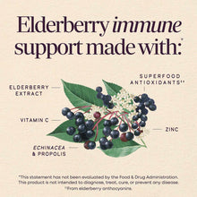 Botanical illustration showing dark elderberries with green leaves and white flowers, labeled with ingredients including extr