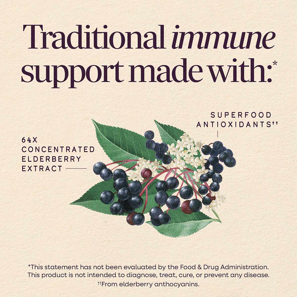 Sambucus Elderberry Original Syrup, by Natures Way