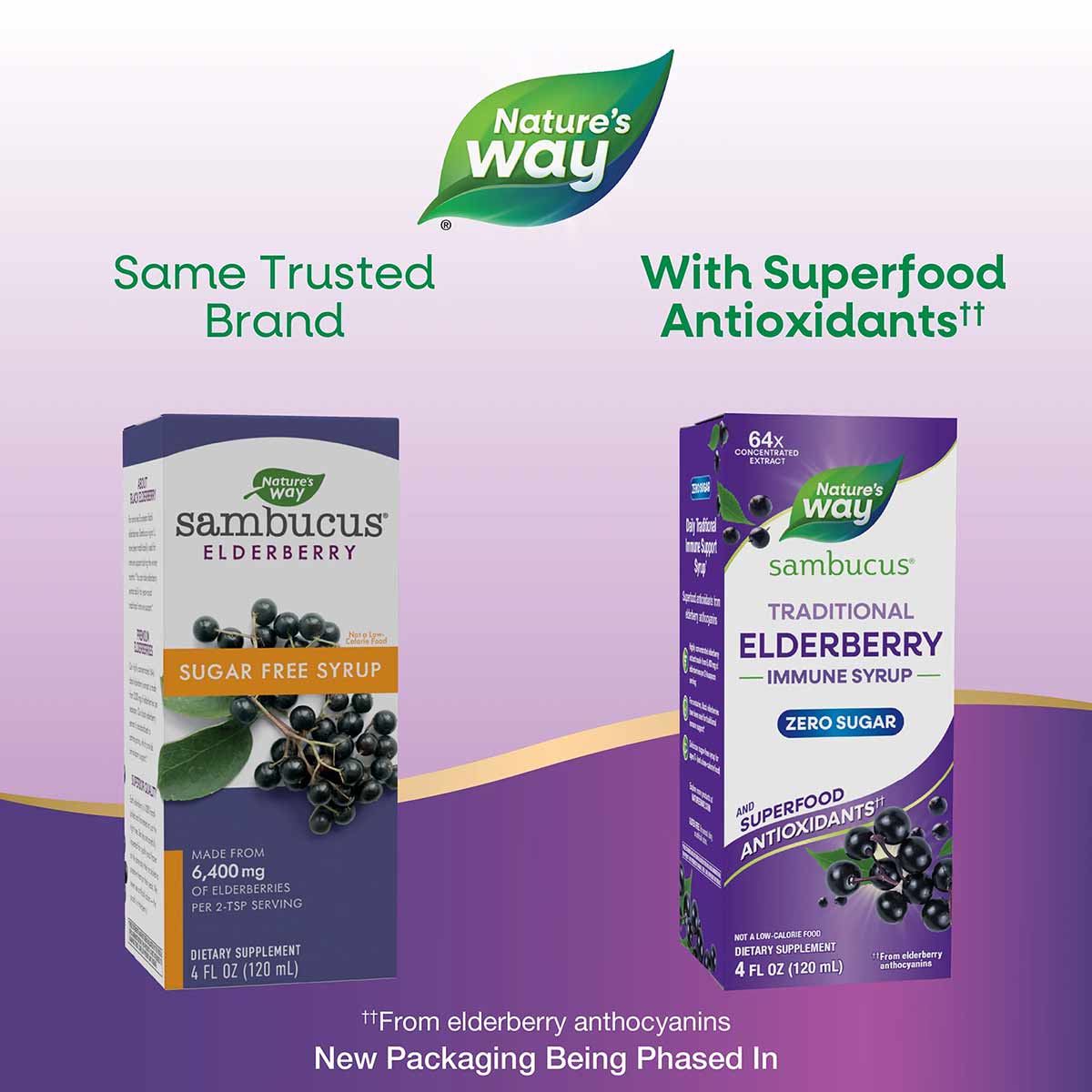 Two bottles of Nature's Way Sambucus sugar-free elderberry syrup in 4 fl oz sizes, one with older packaging and one with new 