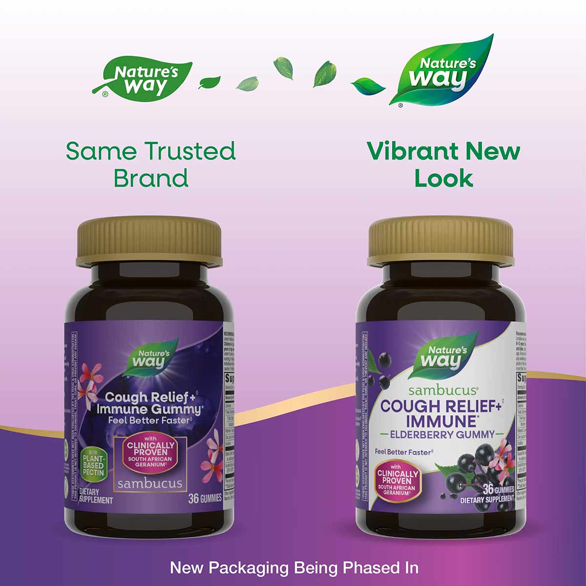 Two dark glass bottles of Nature's Way sambucus gummies with gold caps shown side-by-side on purple background, displaying ol
