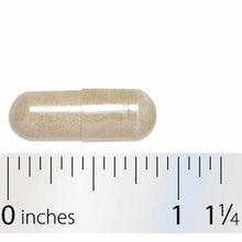 Beige capsule supplement shown next to ruler measuring approximately one inch in length.