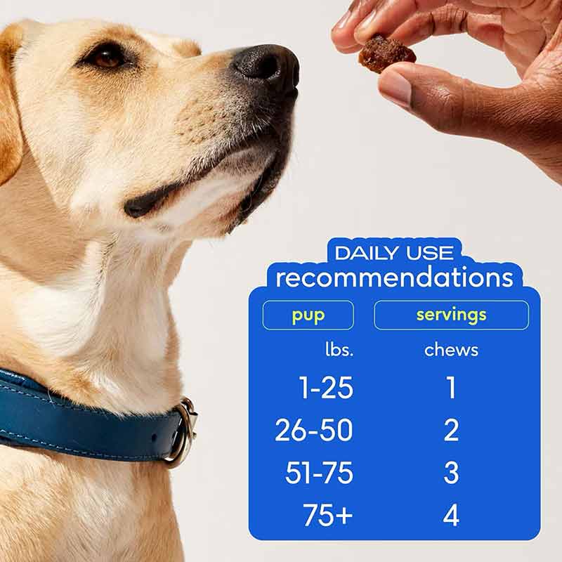 Skin + Coat Chews, Skin & Coat Supplement For Dogs, 60 Chews, by Native Pet, image #5