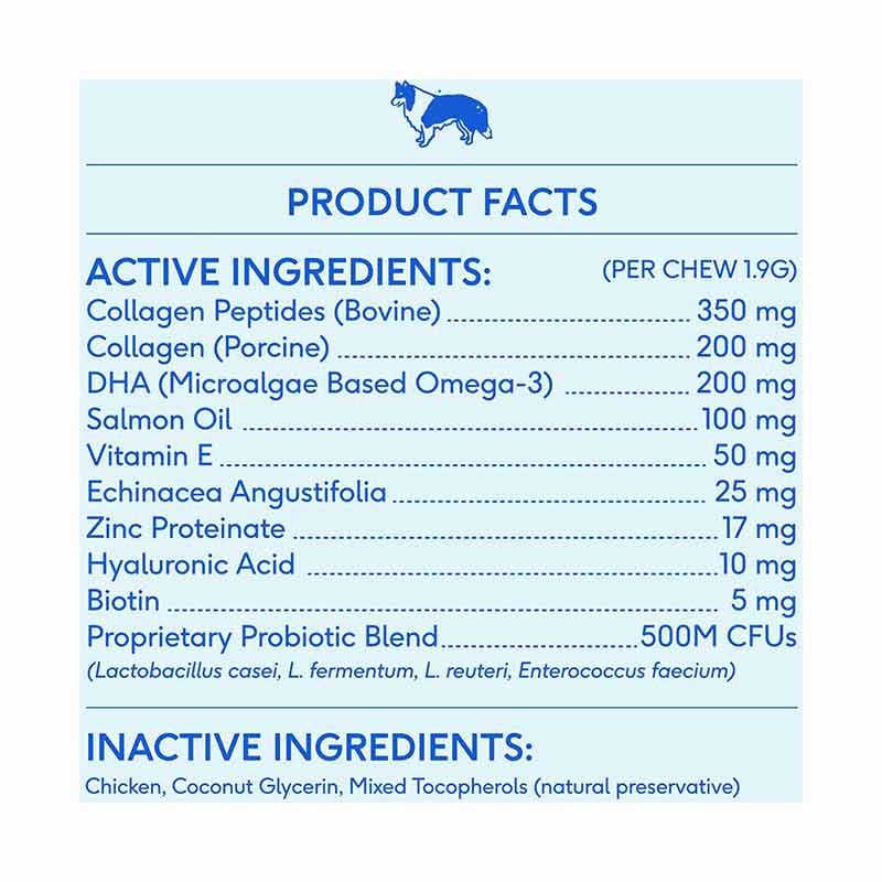 Skin + Coat Chews, Skin & Coat Supplement For Dogs, 60 Chews, by Native Pet, image #6