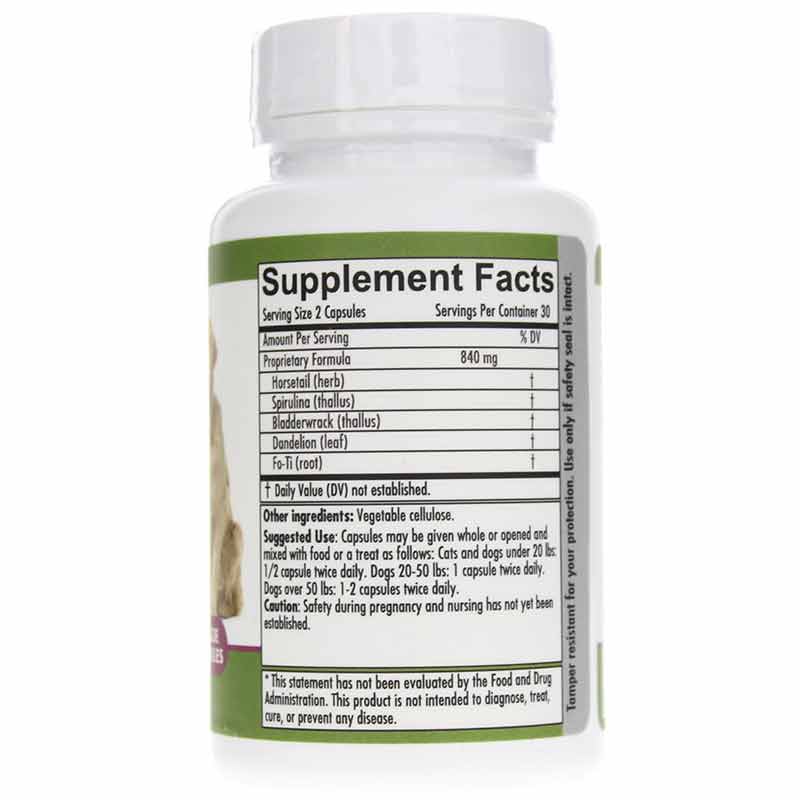 Skin & Coat Tonic, by PetAlive, image #2