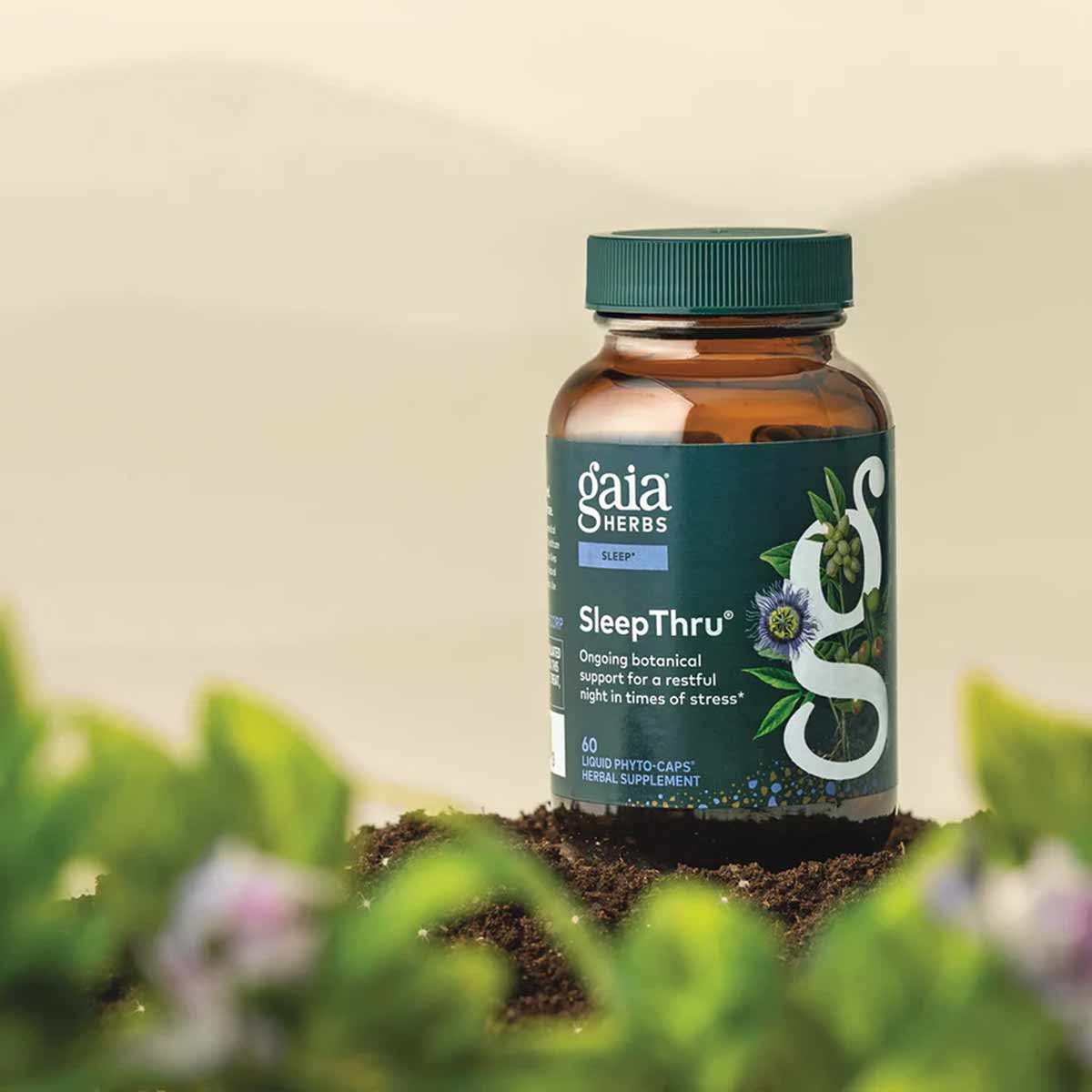 Gaia Herbs Sleep Thru bottle with green cap containing 60 liquid phyto-caps herbal supplement, displayed on soil with blurred