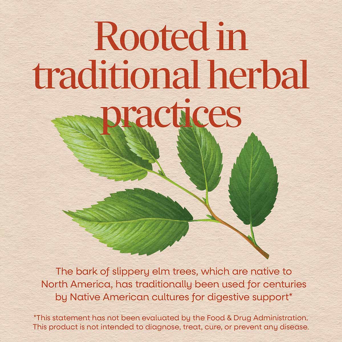 Slippery elm bark supplement package with green leaf branch illustration and text on beige background.