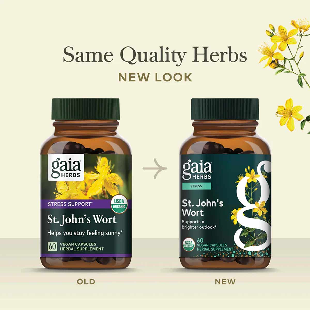 St. John's Wort, by Gaia Herbs
