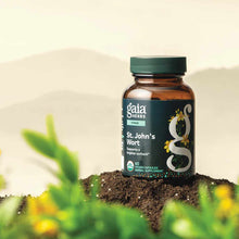 St. John's Wort, by Gaia Herbs