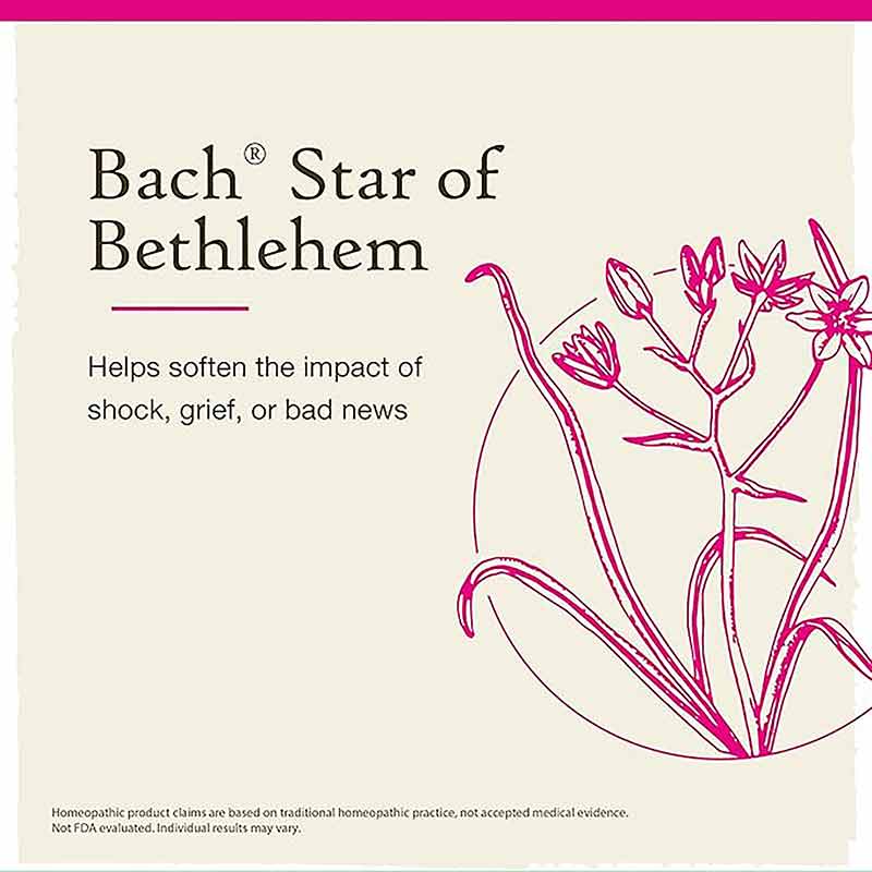 Star of Bethlehem Flower Essence, by Bach Flower Remedies, image #3