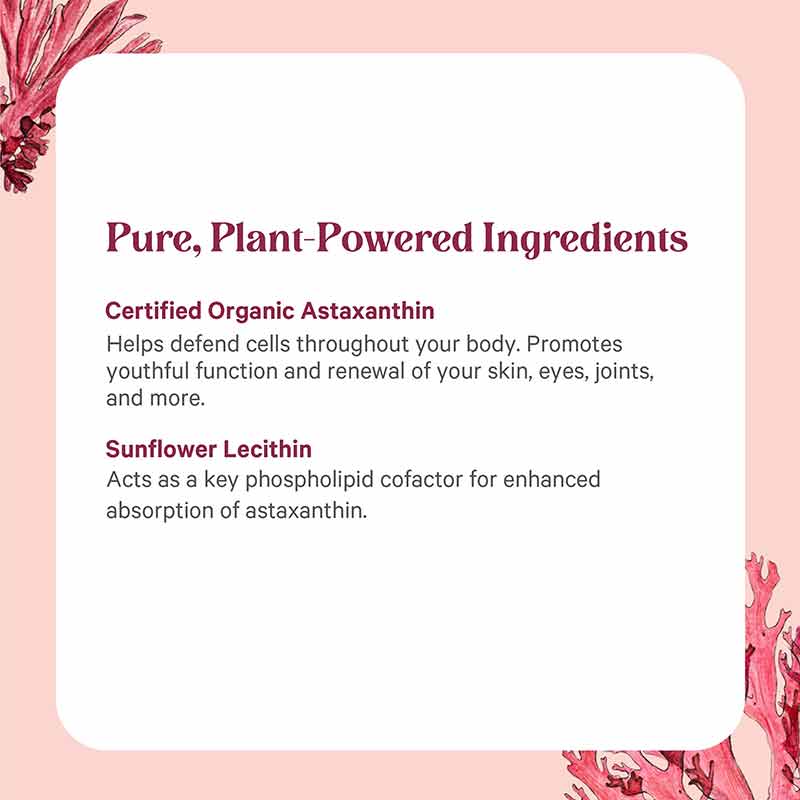 SuperPure Astaxanthin Organic Algae, by Pure Synergy, image #4