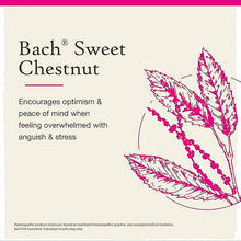 Sweet Chestnut Flower Essence, by Bach Flower Remedies, image #3