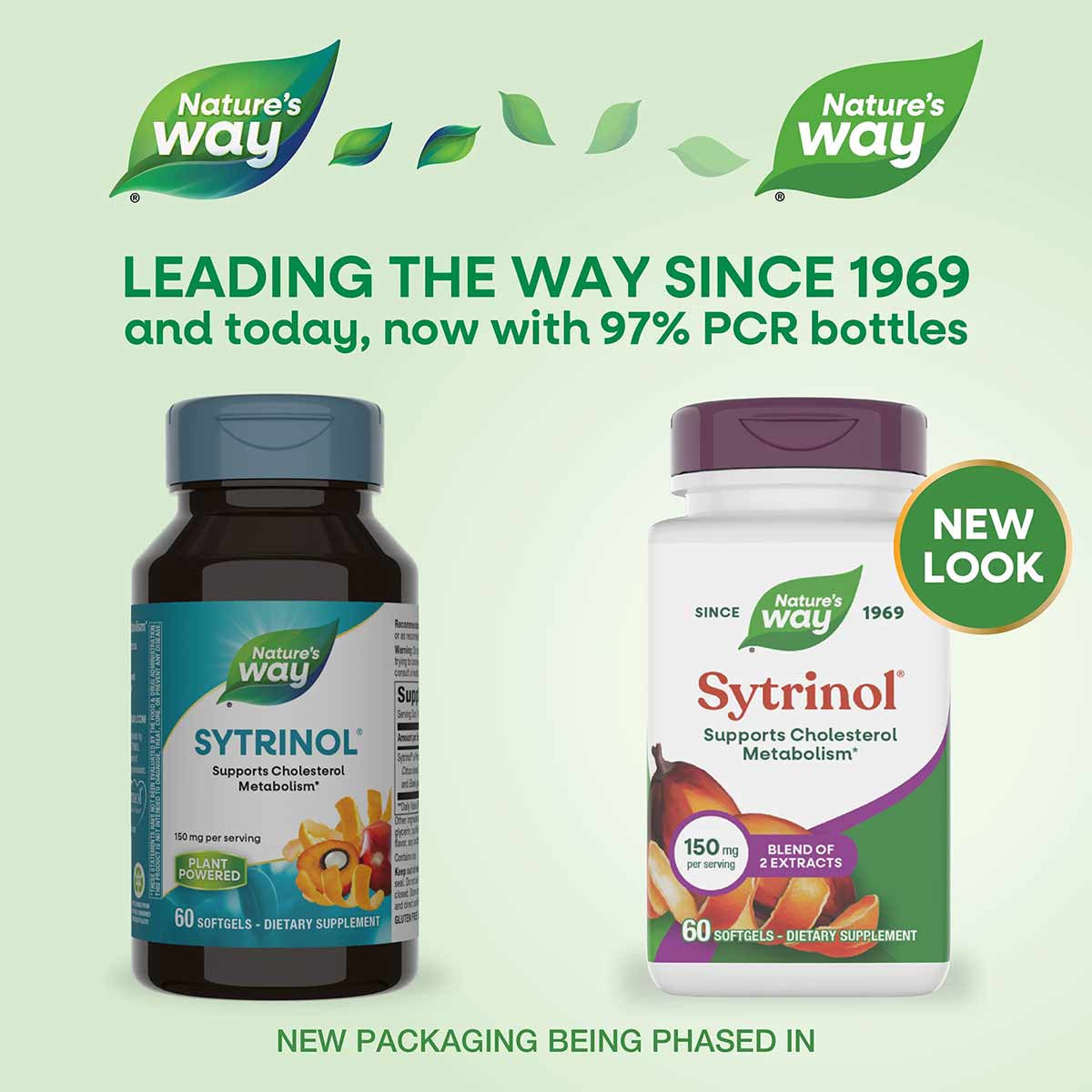 Two bottles of Nature's Way Sytrinol dietary supplement with 60 softgels each, showing old and new packaging designs.