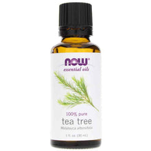 Tea Tree Essential Oil, 1 Oz, by NOW Foods