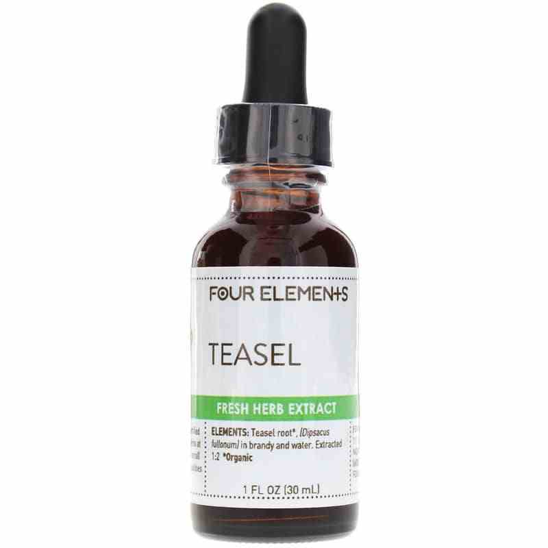 Teasel Fresh Herb Extract, by Four Elements