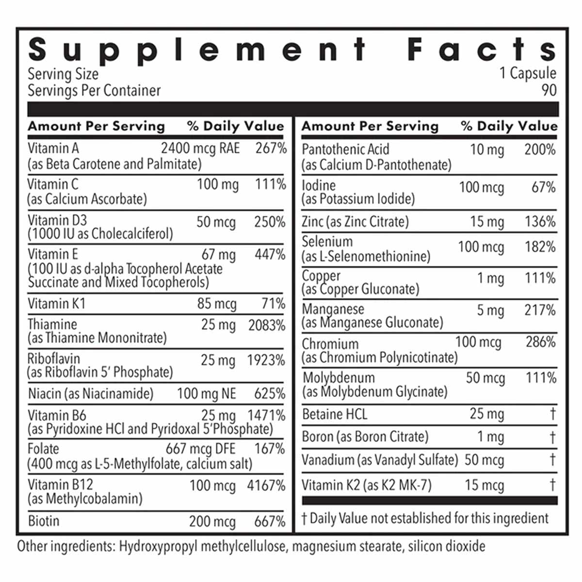 Supplement Facts label for The Big One Plus showing serving size of 1 capsule per container of 90, listing vitamins and miner