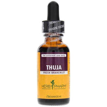 Thuja Extract Topical, 1 Oz, by Herb Pharm