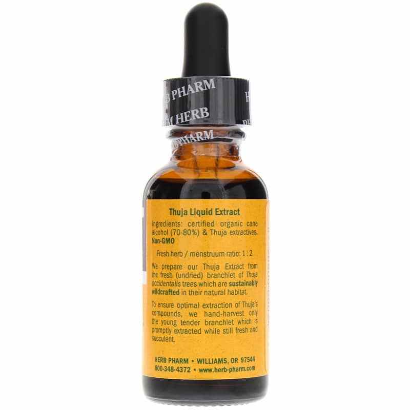 Thuja Extract Topical, 1 Oz, by Herb Pharm, image #2