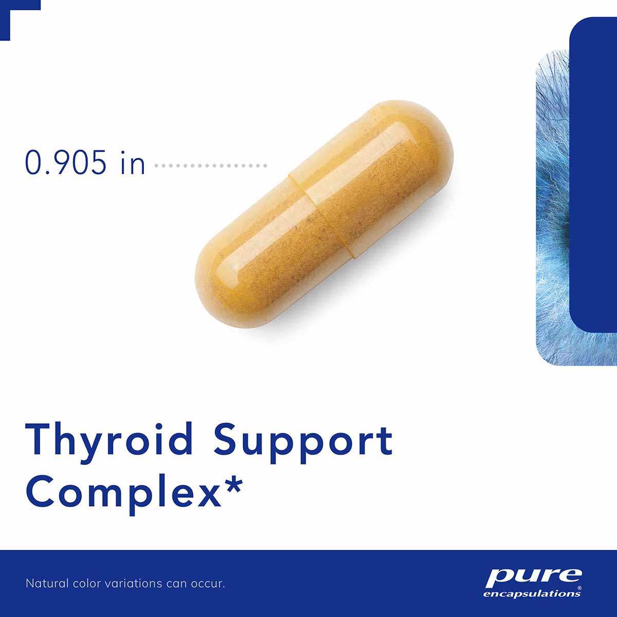 Tan and white capsule supplement measuring 0.905 inches, displayed against white and blue background.