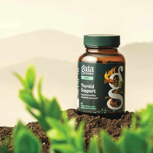 Thyroid Support, by Gaia Herbs