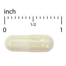 Beige capsule supplement with granular powder visible inside, shown next to ruler for scale.