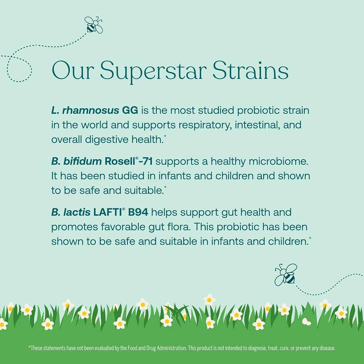 Informational graphic displaying probiotic strain details with text on light blue background and decorative grass and bee ill