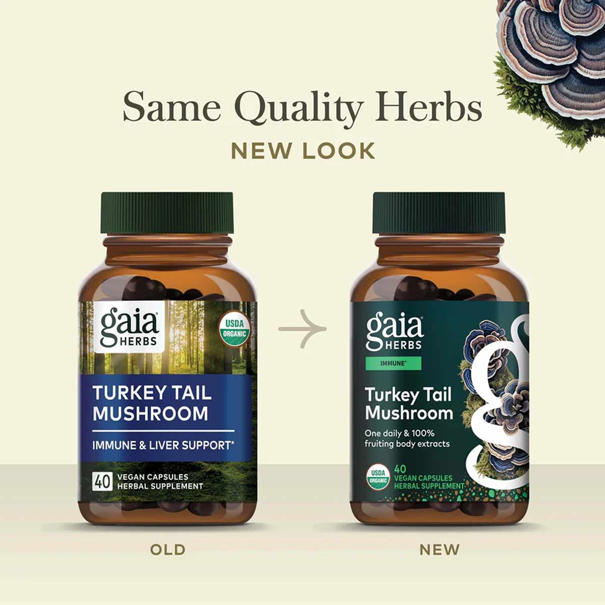 Turkey Tail Mushroom, by Gaia Herbs