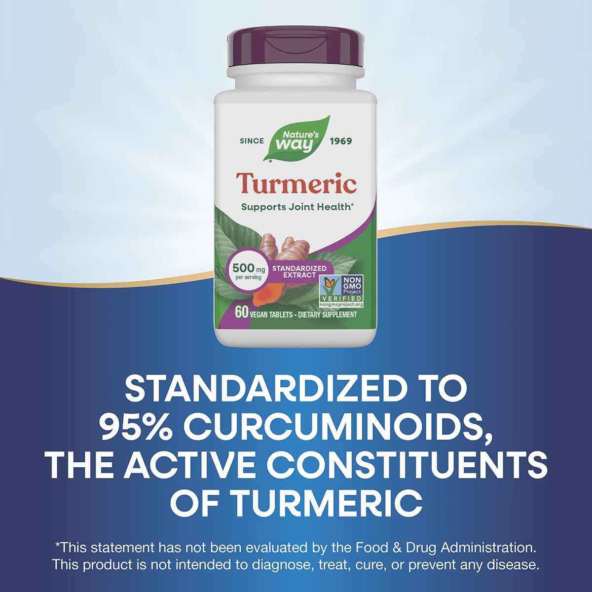 Nature's Way Turmeric supplement bottle with burgundy cap, 500mg per serving, 60 vegan tablets, Non-GMO Project Verified.