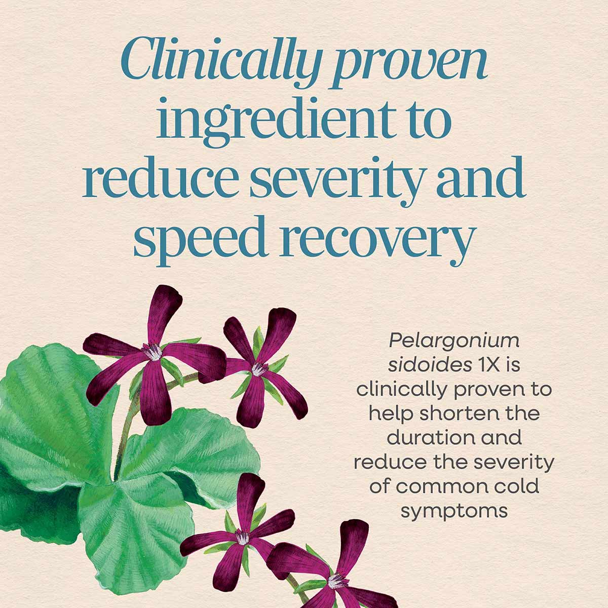 Purple flowers with green leaves and text describing clinically proven cold care ingredient on beige background.