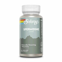 Solaray Spermidine 3.3 mg supplement bottle with white cap containing 60 vegcaps on gray and teal label.