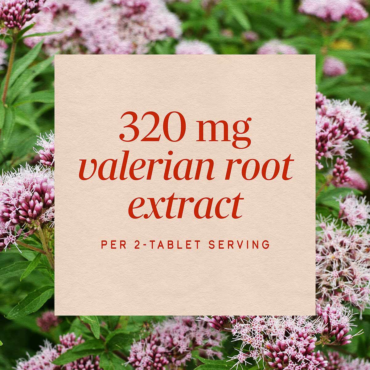 Cream-colored label displaying "320 mg valerian root extract per 2-tablet serving" with pink valerian flowers in background.