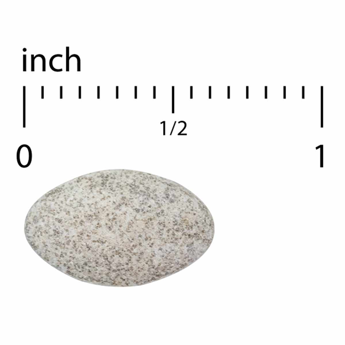 Oval beige tablet with speckled surface shown next to ruler for scale.