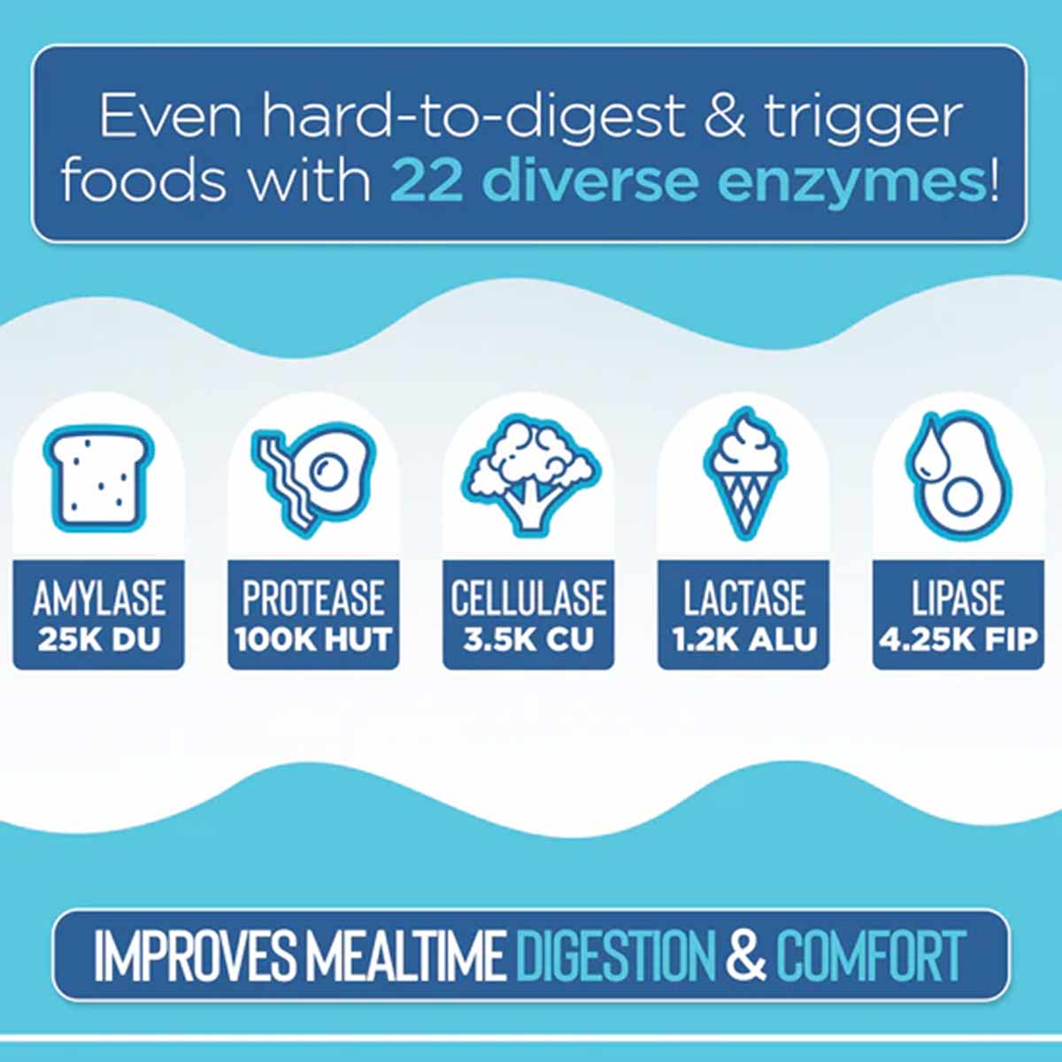 Infographic showing five digestive enzymes with icons: amylase, protease, cellulase, lactase, and lipase, with text describin