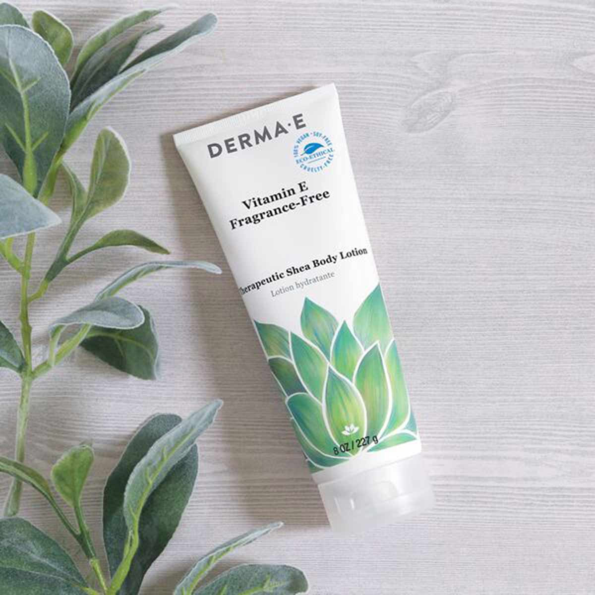 White tube of Derma E Vitamin E fragrance-free shea body lotion displayed with green plant leaves on wooden background.