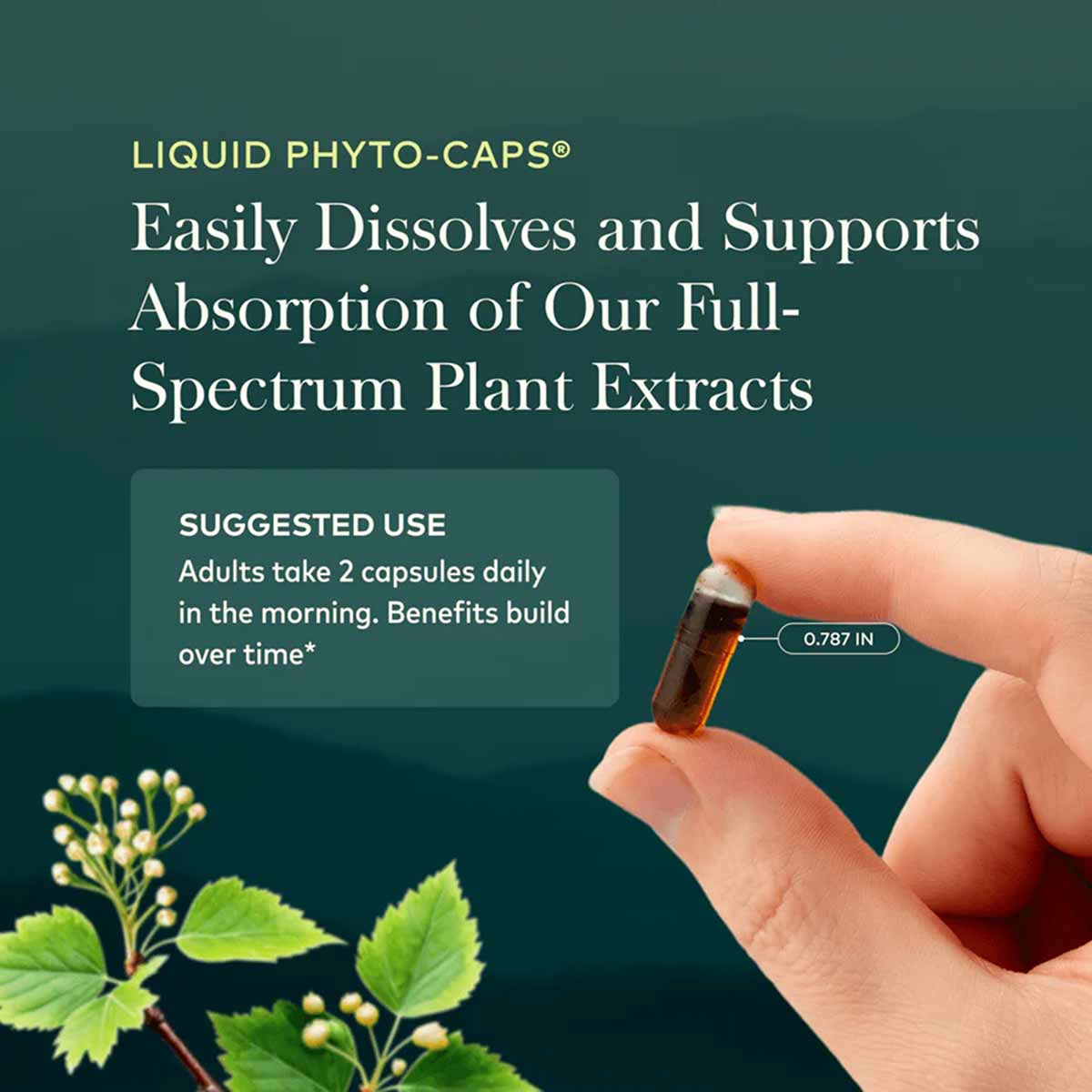 Hand holding a small amber liquid-filled capsule labeled 0.87 inches, with vitex plant leaves below on teal background.