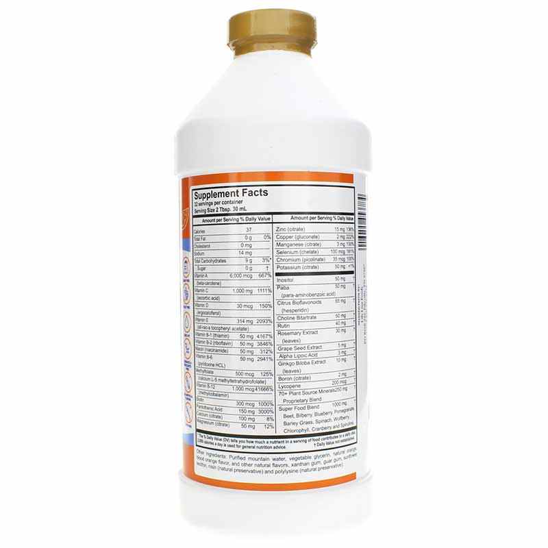 VM 100 Daily Liquid Multi Vitamins and Minerals, 32 Oz, by Buried Treasure, image #2