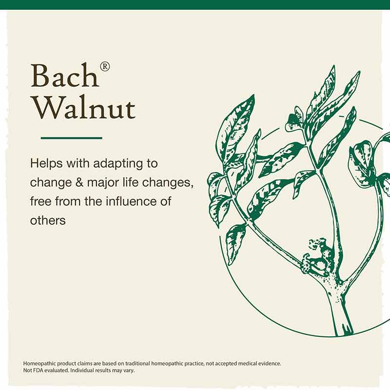 Walnut Flower Essence, by Bach Flower Remedies, image #2