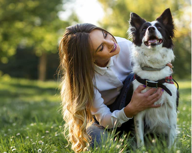 A medium sized dog being hugged by their owner