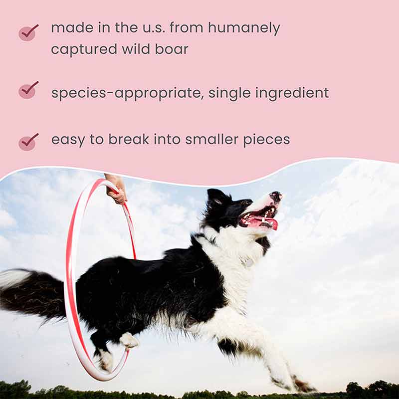 Wild Boar Jerky for Dogs & Cats, by Dr. Mercola, image #4